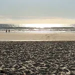 Maison Climatisee 8 Personnes Cap Ferret Ferienhaus
