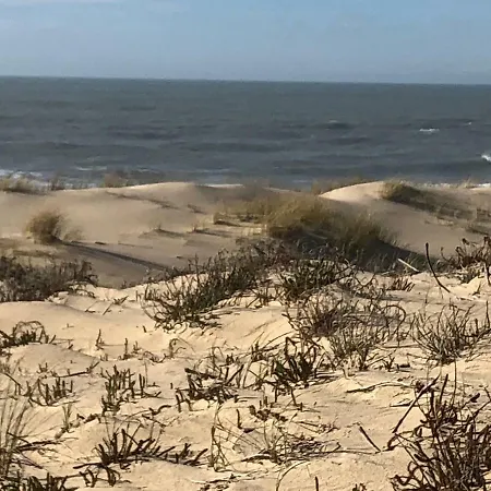 La Ravissante Ferretcapienne * Lege-Cap-Ferret
